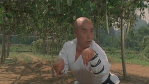 Martial Arts of Shaolin's poster