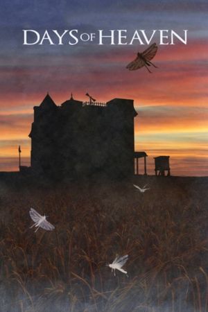 Days of Heaven's poster