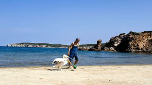 Nicostratos the Pelican's poster