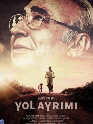 Yol Ayrimi's poster