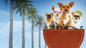 Beverly Hills Chihuahua's poster