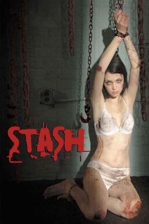 Stash's poster