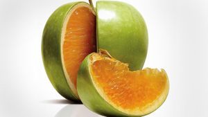 Freakonomics's poster