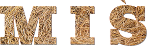Teddy Bear's poster