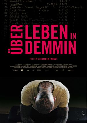 Living in Demmin's poster image