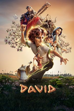 David's poster image