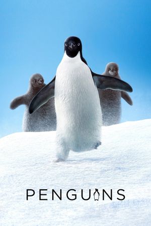 Penguins's poster