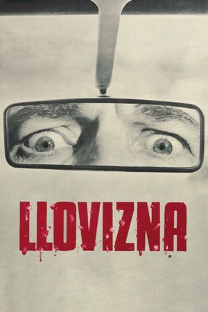 Llovizna's poster