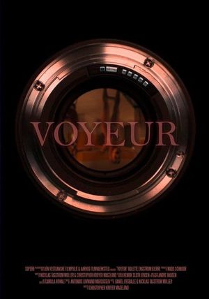 Voyeur's poster