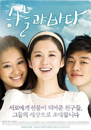 Sky and Ocean's poster