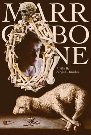 Marrowbone's poster