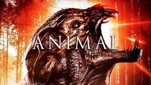 Animal's poster