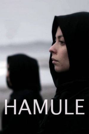 Hamule's poster