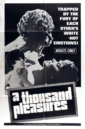 A Thousand Pleasures's poster