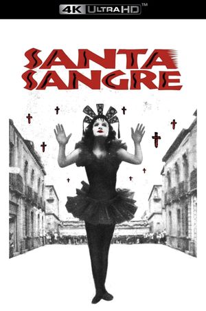 Santa Sangre's poster