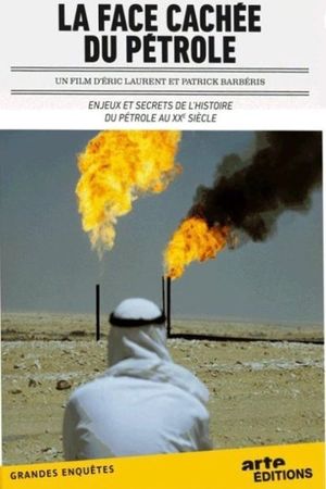 La face cachée du pétrole's poster