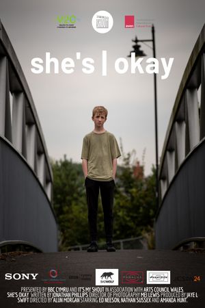 She's Okay's poster