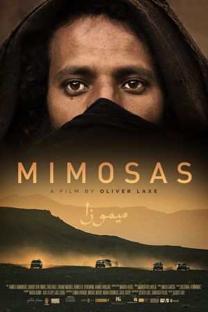 Mimosas's poster