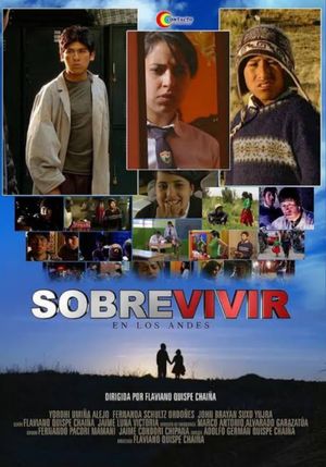 Sobrevivir en los Andes's poster