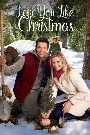 Love You Like Christmas's poster