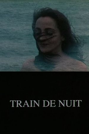 Train de nuit's poster