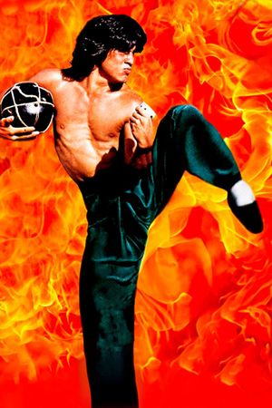 Drunken Master's poster
