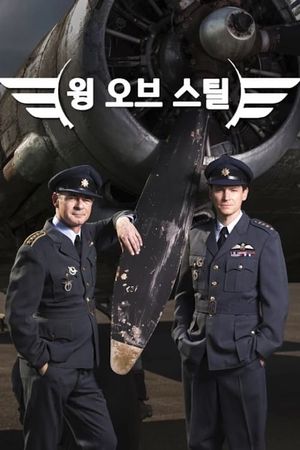 Wings of Steel's poster