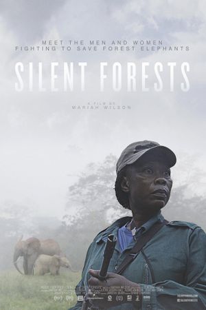 Silent Forests's poster