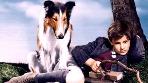 Lassie Come Home's poster