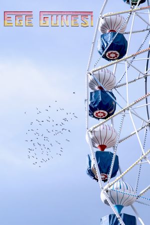 The Ferris Wheel's poster