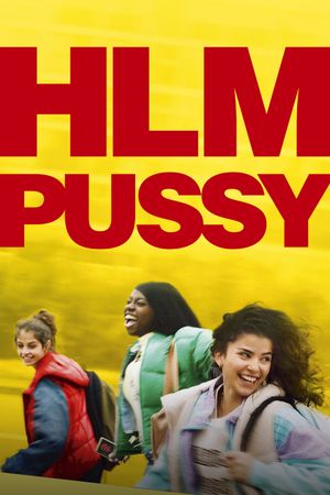 Sisterhood's poster