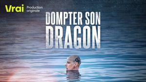 Dompter son dragon's poster