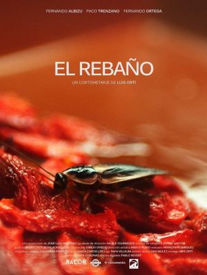 El rebaño's poster