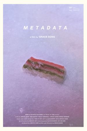 Metadata's poster