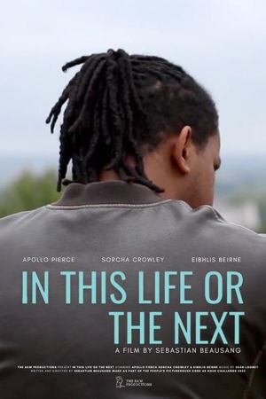 In This Life Or The Next's poster