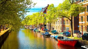 The Netherlands's poster
