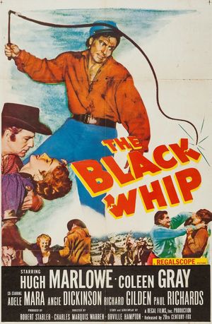 The Black Whip's poster