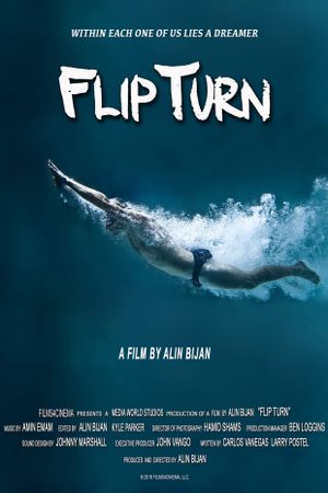 Flip Turn's poster image
