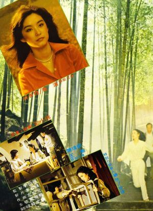 Chen wu's poster