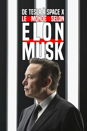 De Tesla à SpaceX, le monde selon Elon Musk's poster