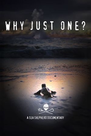 Why Just One?'s poster