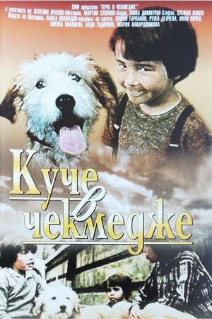 Kuche v chekmedzhe's poster