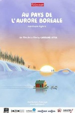 Northern Lights's poster