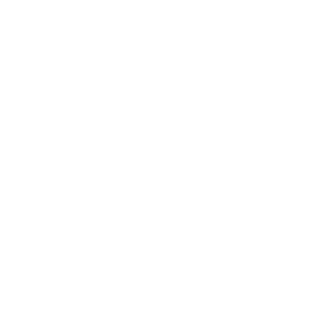 X's poster