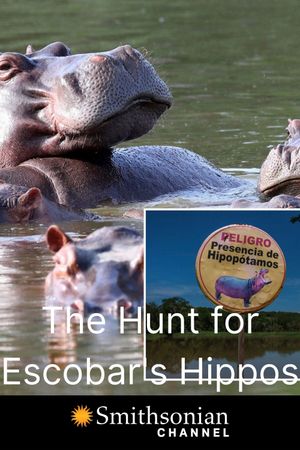 The Hunt for Escobar's Hippos's poster