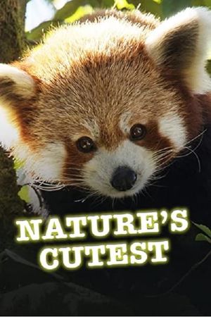 Nature's Cutest's poster