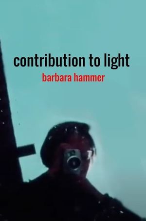 Contribution to Light's poster