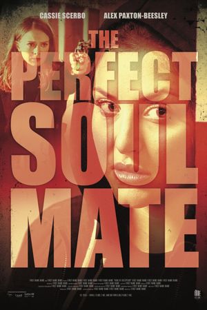 The Perfect Soulmate's poster