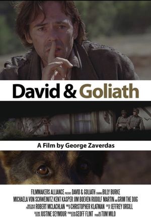 David and Goliath's poster image