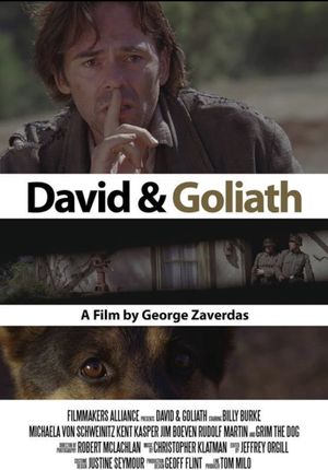 David and Goliath's poster